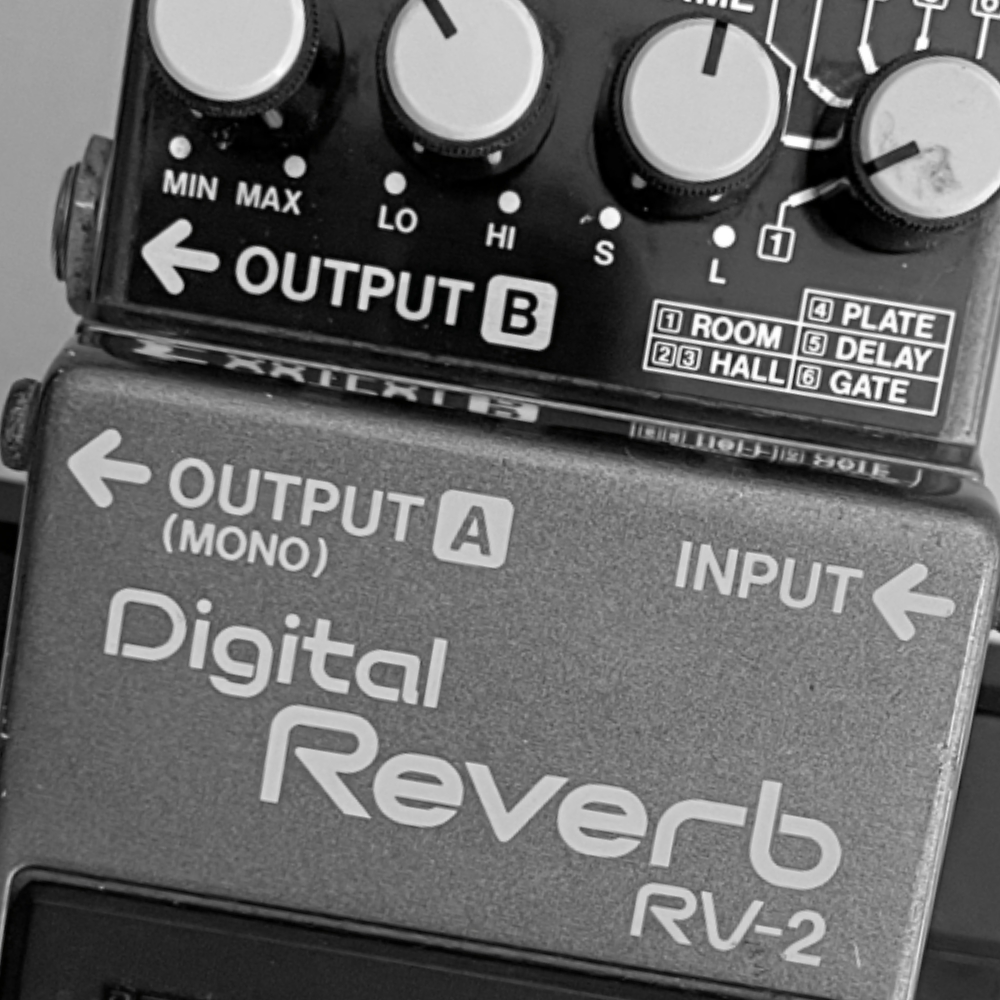 Boss RV-2 Digital Reverb | Guitar Nine